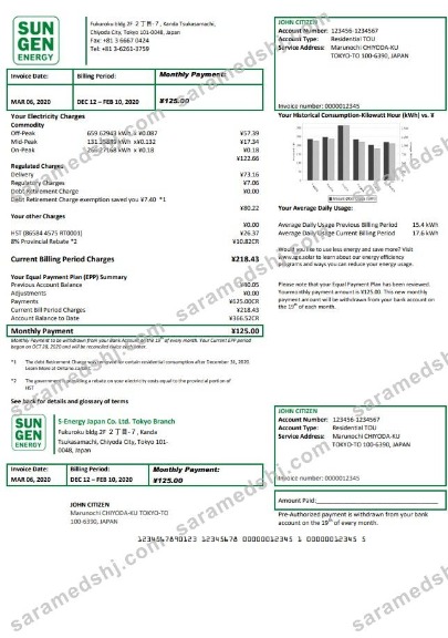 Japan S-Energy Japan Co. Ltd. Tokyo Branch utility bill template in Word and PDF format